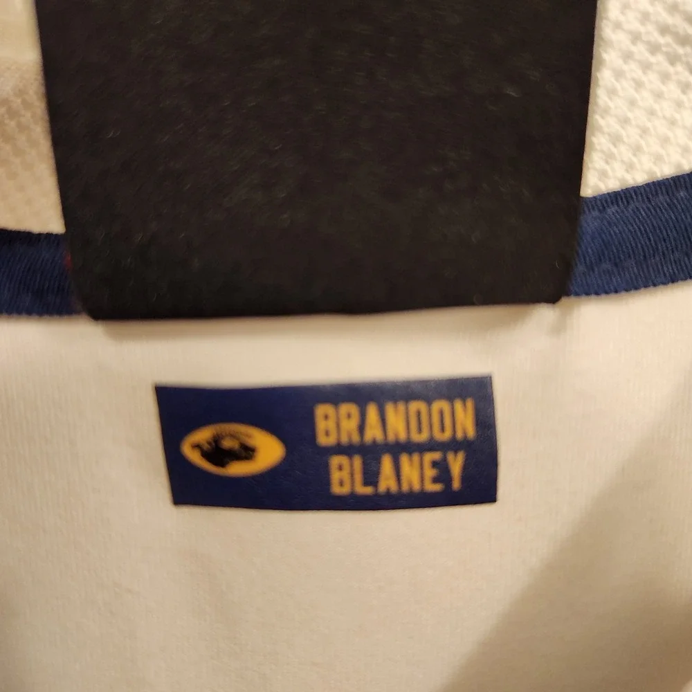 Air Jordan‎ Michigan Wolverines Football Coach Dri Fit Mens L Citrus Bowl
